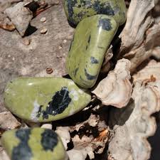 Black And White Spotted Gemstone Speckled Epidote This Is A North Carolina Rock Which Is Composed Of Various Minerals Including Magnetite Minerals And Gemstones Rock Shops Gems And Minerals