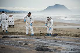 Progress in modernising environmental regulation and compliance assurance in eastern europe, caucasus and central asia. Environmental Law Wikiwand