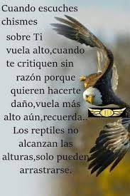 Para Mi Estado Frases De Sabiduria Frases De Aguilas Frases