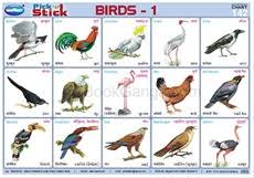 Pick N Stick Birds 1 Bookganga Com