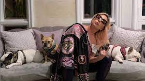 The singer is currently in rome to film a movie. Lady Gaga Says Her Heart Is Sick After Violent Dog Theft As She Confirms Big Reward Ents Arts News Sky News
