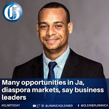 Business leaders are calling for more discourse and activities that will  help Jamaican entrepreneurs, locally and overseas, to take advantage of the  myriad investment opportunities available in Jamaica and its diaspora  markets.