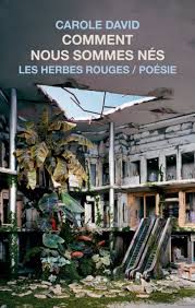 Comment nous sommes nés de Carole David