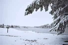 Começa a solicitação para tratamento pelo nome social. A Beleza Da Neve Que Cobriu Portugal Nos Ultimos Dias