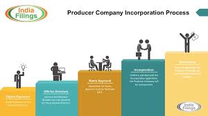 Procedure For Registration Of Producer Company Incorporation Process Starting A Business Business Loans Company