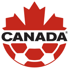 I have been unable to find an actual flag for the portsmouth football club. Home Canada Soccer