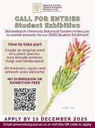 Image result for Euphorbia mossambicensis