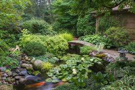 Image result for garden pond ideas