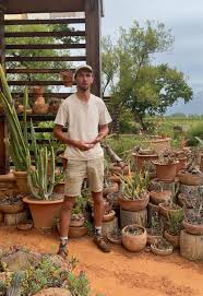 Image result for Eulophia petersii