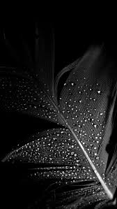 New Dark Wallpapers For I Phone Download Ashueffects Dark Wallpaper Dark Wallpaper Iphone Iphone Wallpaper
