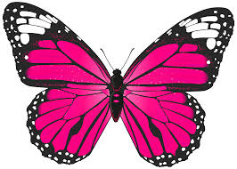 Pink Butterfly Png Transparent Clip Art Image Gallery Yopriceville High Quality Images And Transparent Butterfly Clip Art Butterfly Painting Butterfly Art