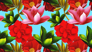Pink and green flower background. Wallpaper Pink Red And Green Flowers Texture Background 5120x2880 Uhd 5k Picture Image