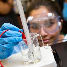 Career Connections Training