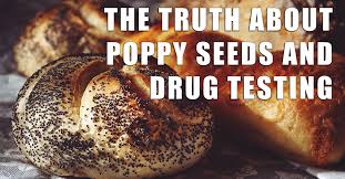 If you're in the group of people that routinely may get. The Truth About Poppy Seeds And Drug Testing Datac