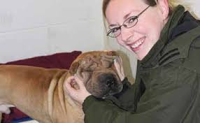 COLLABORATION INTEGRITY POSITIVITY SERVICE EXCELLENCE COMPASSION  COLLABORATION INTEGRITY POSITIVITY SERVICE EXCELLEN S