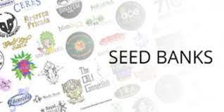 Buy cannabis seeds online including feminized strains and cbd marijuana seeds. Marijuana Seed Bank The Good And The Bad