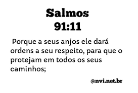 4 con sus plumas te cubrirá, y debajo de sus alas estarás seguro: Salmo 91 11 Reina Valera 1960