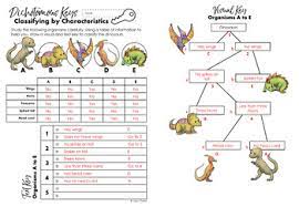 To begin, make sure california albatrosses and organism a are make a new dichotomous key that could be used to identify these organisms. Dichotomous Keys Dinosaurs By Jadyn Thone Teachers Pay Teachers
