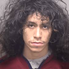 Local man sentenced to 8 years in jail for bestiality