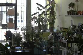 Stop by and see us for all of your indoor. Garden Store For Urban Growers And Nonprofits Mission Local