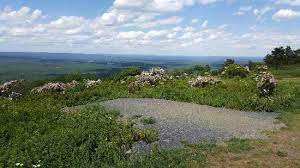 980 camelback rd, tannersville, pa 18372; Big Pocono State Park Tannersville 2021 All You Need To Know Before You Go With Photos Tannersville Pa Tripadvisor