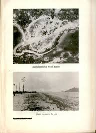 Enjoy our hd porno videos on any device of your choosing! Solomon Islands Campaign Ix Bombardments Of Munda And Vila Stanmore