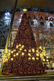 Christmas Tree Christmas Tree Outside Christmas Tree Beautiful Christmas Trees