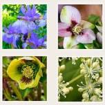 GARDEN PARTY — Fernwood Botanical Garden