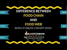 Food chain vs food web definition. Difference Between Food Chain And Food Web Food Chain Vs Food Web