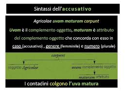 Vediamo cosa sono e come funzionano i casi in latino e come possiamo tradurli. I Casi E La Struttura Sintattica Del Latino