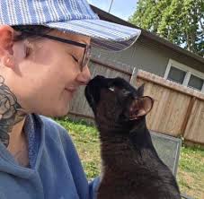 Has anyone seen my missing black cat?