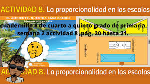 We did not find results for: Cuadernillo 6 De Cuarto A Quinto Grado De Primaria Semana 3 Actividad 1 Y 2 Pag 22 Hasta 26 Youtube