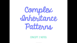 Old Unit 5 Complex Inheritance Patterns Notes Youtube