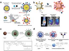 Nastro adesivo di carta per uso generico larghezza 50 mm. Tumor Targeting Glycol Chitosan Nanoparticles For Cancer Heterogeneity Ryu 2020 Advanced Materials Wiley Online Library