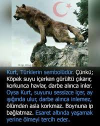 Aynen Oylee Askeri Tarih Egitim Tarihi Nadide Hayvanlar