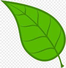 Most relevant best selling latest uploads. Toppng Com Uploads Preview Minimalist Tea Leaf