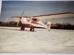 Image result for Natural Yellow 1999 Fleet