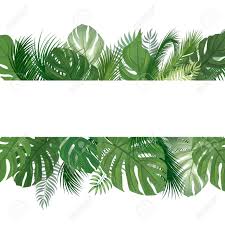 Tropical Leaves Png All png & cliparts images on nicepng are best quality. tropical leaves png