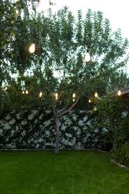 We did not find results for: Diy Hanging Cafe String Lights Diana Elizabeth