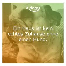 Hundeliebe Hunde Zitate Hundemensch Hunde Spruche Zitatbilder Lustige Spruche Schone Spruche Hunde Hundespruche Hund Zitat