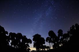 Photographing The Night Sky Nikon