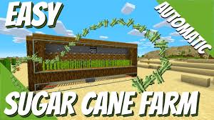 Fully automatic sugarcane farm without the need of observers! How To Make A Sugar Cane Farm In Minecraft 1 14 Minecraft Sugar Cane Farm Tutorial Starter Farms Youtube