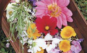 Check spelling or type a new query. Pressing Flowers Finegardening
