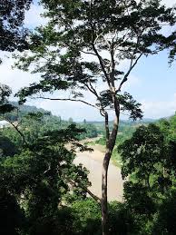 Sesampainya kami di taman negara gunung gading jam dah sekitar 0945 minit pagi. Taman Negara Wikiwand