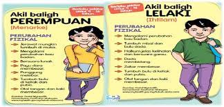 Añadir a mis cuadernos (25) descargar archivo pdf insertar en mi web o blog añadir a. Perubahan Fizikal Lelaki Dan Perempuan Education Quizizz