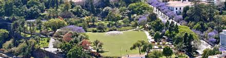 See more of santa catarina notícias on facebook. Santa Catarina Park In Funchal Madeira Island Gardens Parks
