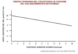 Quale alimento è più ricco di colesterolo? Colesterolo Wikipedia