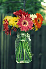 Hanging Mason Jar With Gerbera Daisies Hanging Mason Jars Wedding Jars Mason Jar Flowers