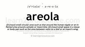 Definition of areola, with etymology, pronunciation (phonetic and audio), synonyms, antonyms, derived terms and more about the word areola. Pronunciation Of Areola Definition Of Areola Youtube