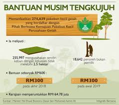 Teknik mengawal penyakit daun penanaman getah. Bantuan Musim Tengkujuh Kepada Pekebun Kecil Getah Risda